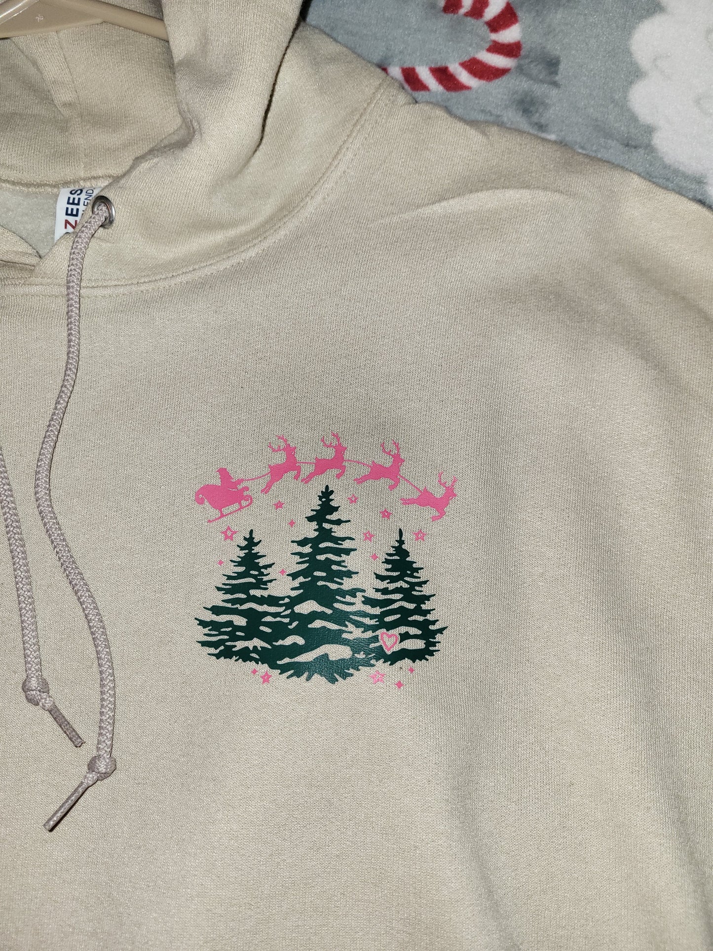 Believe in the Magic of Christmas Hoodie