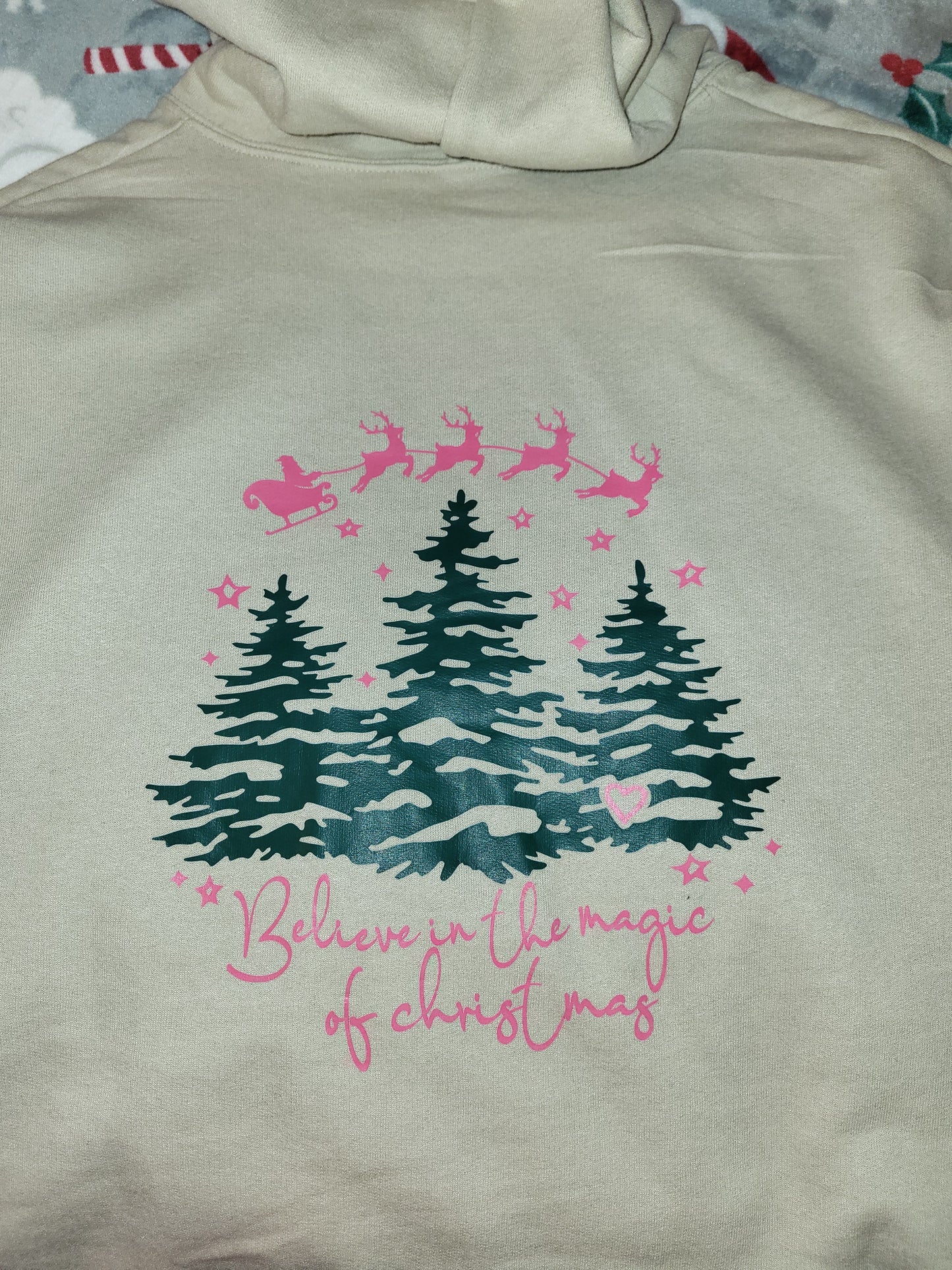 Believe in the Magic of Christmas Hoodie