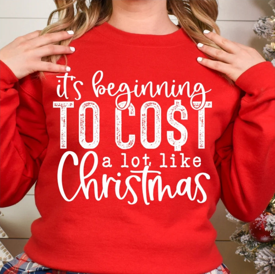 It's beginning to cost a lit like Christmas Sweatshirt